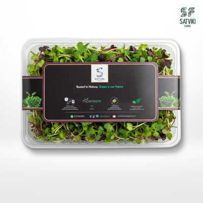 Microblink Box