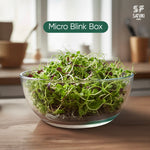 Load image into Gallery viewer, Microblink Box
