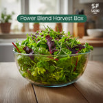 Load image into Gallery viewer, Power Blend Box

