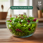Load image into Gallery viewer, Serene Harvest Box
