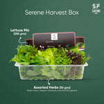 Load image into Gallery viewer, Serene Harvest Box
