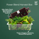 Load image into Gallery viewer, Power Blend Box
