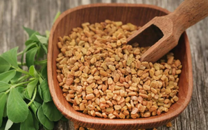 Fenugreek Seeds