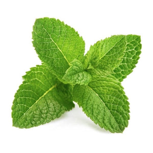 Mint