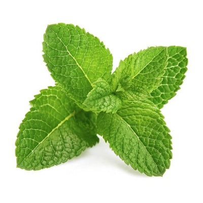 Mint