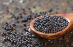 Load image into Gallery viewer, Mustard seeds
