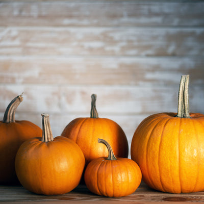 Disco Pumpkin
