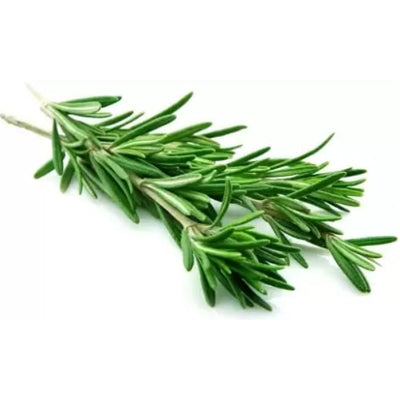 Rosemary