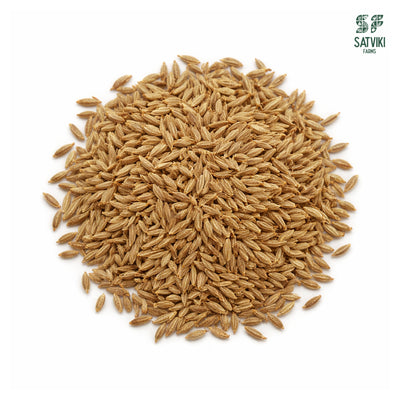 Cumin Seeds