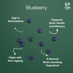 Load image into Gallery viewer, Blueberry
