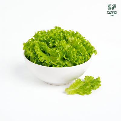 Any Lettuce
