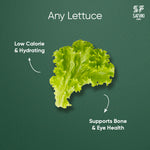 Load image into Gallery viewer, Any Lettuce
