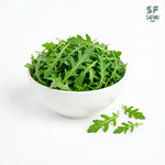 Load image into Gallery viewer, Arugula
