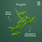 Load image into Gallery viewer, Arugula
