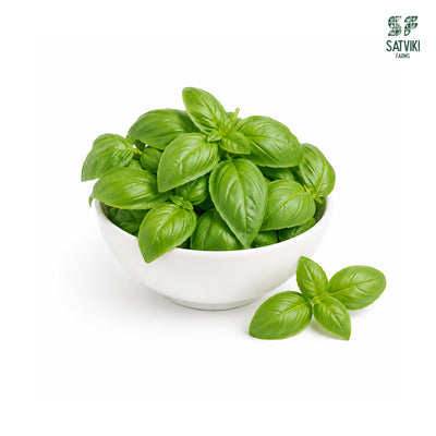 Italian Basil