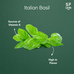 Load image into Gallery viewer, Italian Basil
