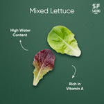 Load image into Gallery viewer, Mix Lettuce
