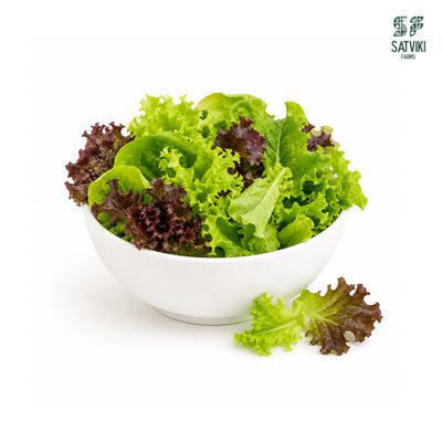 Mix Lettuce