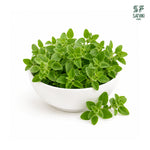 Load image into Gallery viewer, Oregano
