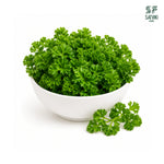 Load image into Gallery viewer, Parsley
