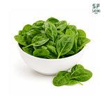 Load image into Gallery viewer, Spinach
