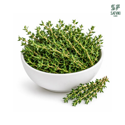 Thyme