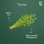 Load image into Gallery viewer, Thyme
