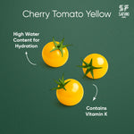Load image into Gallery viewer, Cherry Tomato Yellow

