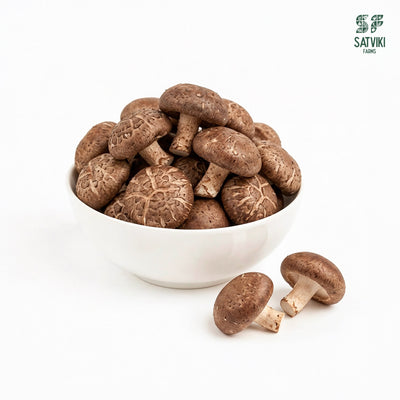 Shitake