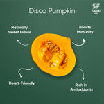 Load image into Gallery viewer, Disco Pumpkin
