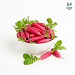 Load image into Gallery viewer, Pink Raddish
