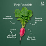 Load image into Gallery viewer, Pink Raddish
