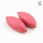 Load image into Gallery viewer, Sweet Potato
