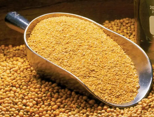Soyabean Meal