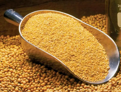 Soyabean Meal