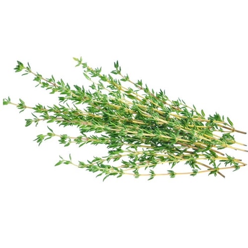 Thyme
