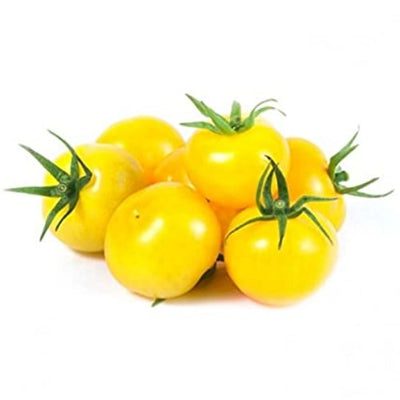 Cherry Tomato Yellow