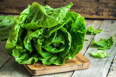 Any Lettuce