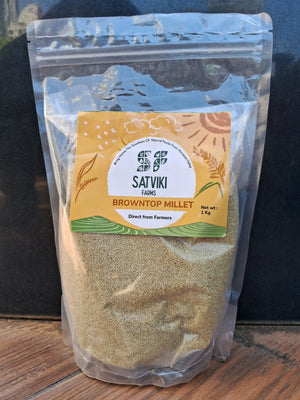 Browntop Millet
