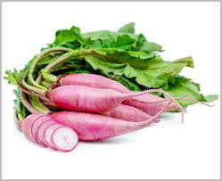 Pink Raddish
